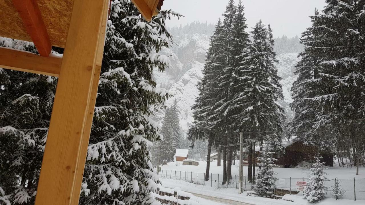Casa Bicajeanului - Lacul Roşu Exterior foto