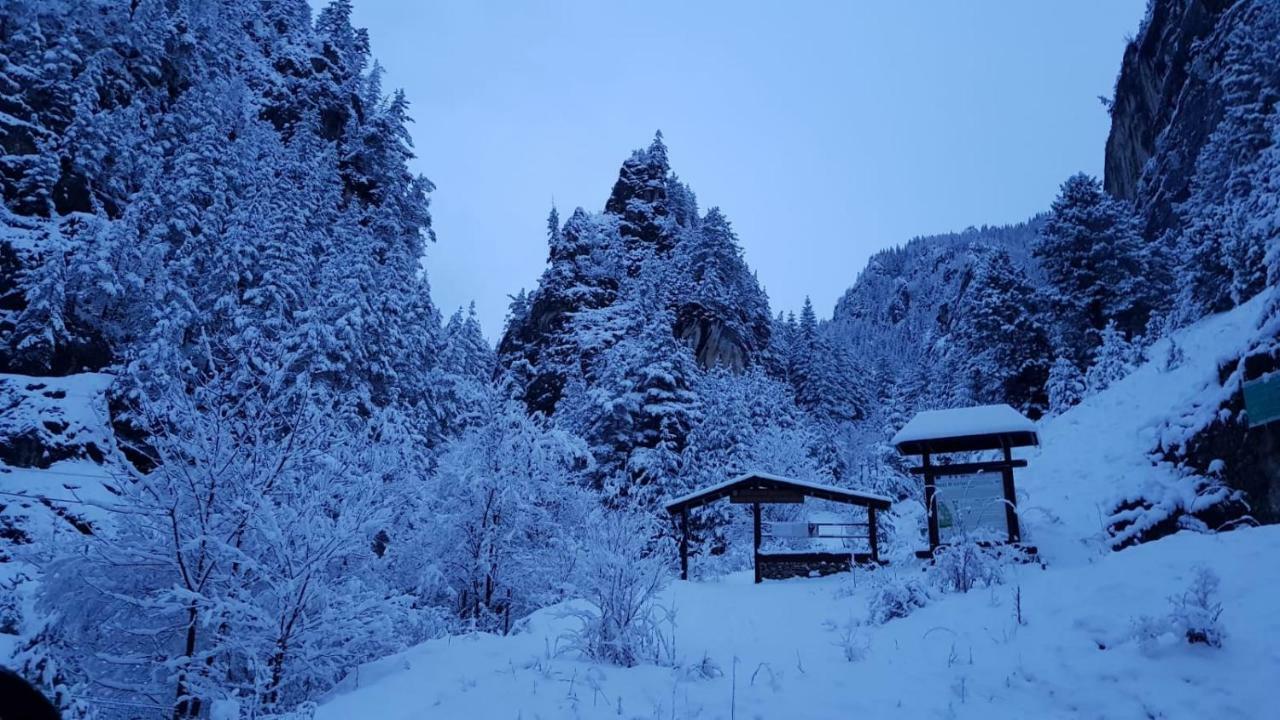 Casa Bicajeanului - Lacul Roşu Exterior foto